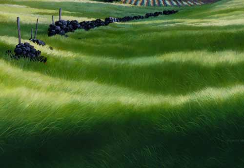 A Quiet Momemt: detailing the grass