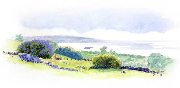 Keokea Picnic Watercolor Sketch