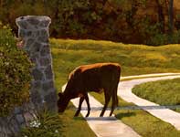 Painting by Curtis Wilson Cost: Agapanthus for Lunch