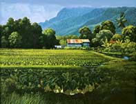Painting by Curtis Wilson Cost: Hanalei Taro