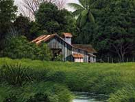 Painting by Curtis Wilson Cost: Island Seed Shed