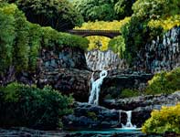 Painting by Curtis Wilson Cost: Kahawai O' Oheo