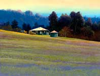 Painting by Curtis Wilson Cost: Kula Plum