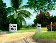 Painting by Curtis Wilson Cost: Makena Summer