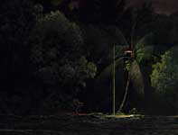 Painting by Curtis Wilson Cost: Night Palm