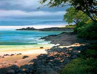 Painting by Curtis Wilson Cost: North of the Landing