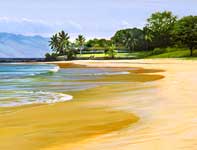 Painting by Curtis Wilson Cost: Palauea