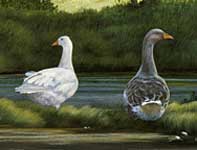 Painting by Curtis Wilson Cost: Polo Fans