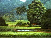 Painting by Curtis Wilson Cost: Ponds and Terraces