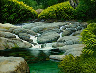 Painting by Curtis Wilson Cost: Secret Pond